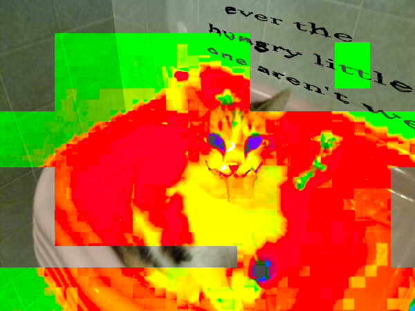 Pain